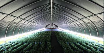 using light deprivation in a greenhouse allows you to increase crop yields