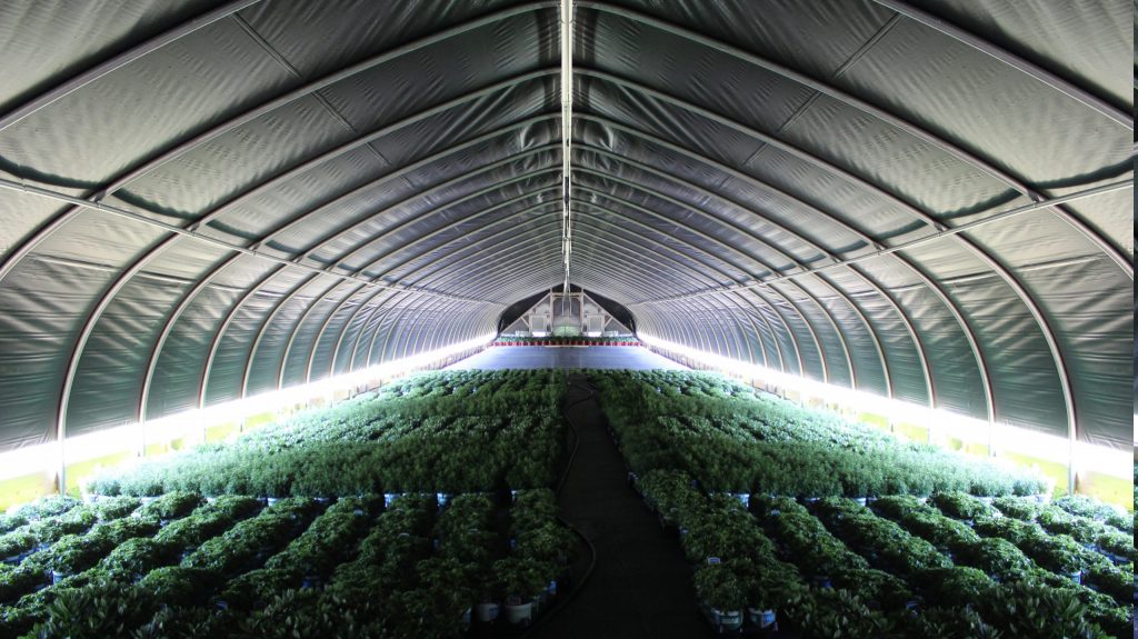 using light deprivation in a greenhouse allows you to increase crop yields