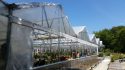 Straight Wall Greenhouse Curtain