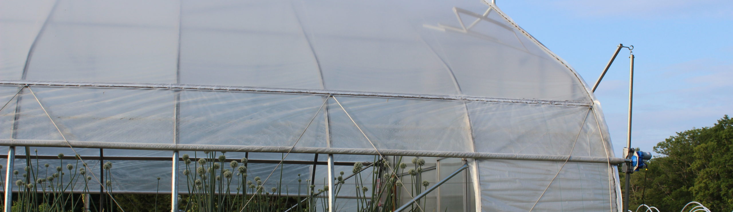 Arched Curtain For Greenhouse Ventilation