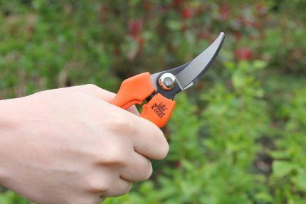 Harvesting Pruners - Curved