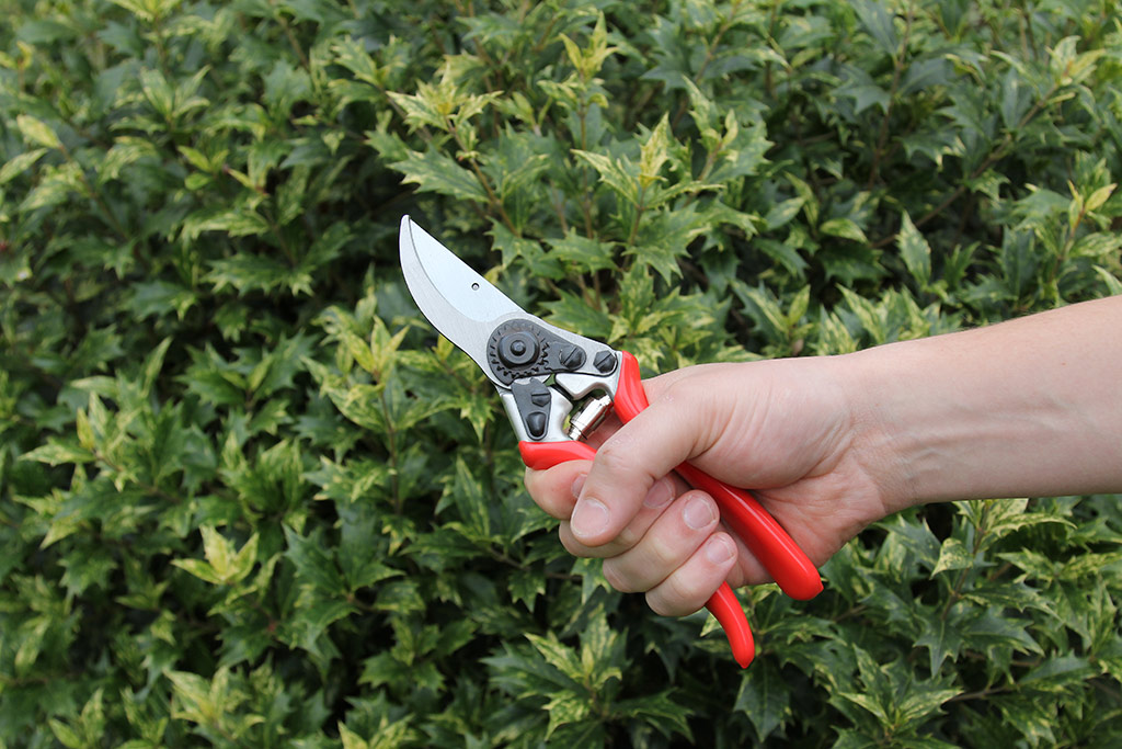 Metallo Red Line Medium Bypass Pruner