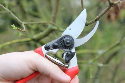 Metallo Red Line Medium Bypass Pruner