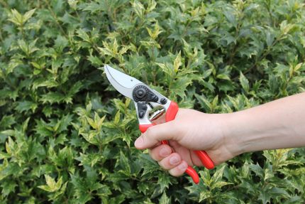 K-0900 - Pruning shears - Keizerskroon Metallo