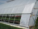 Arched Greenhouse Curtain