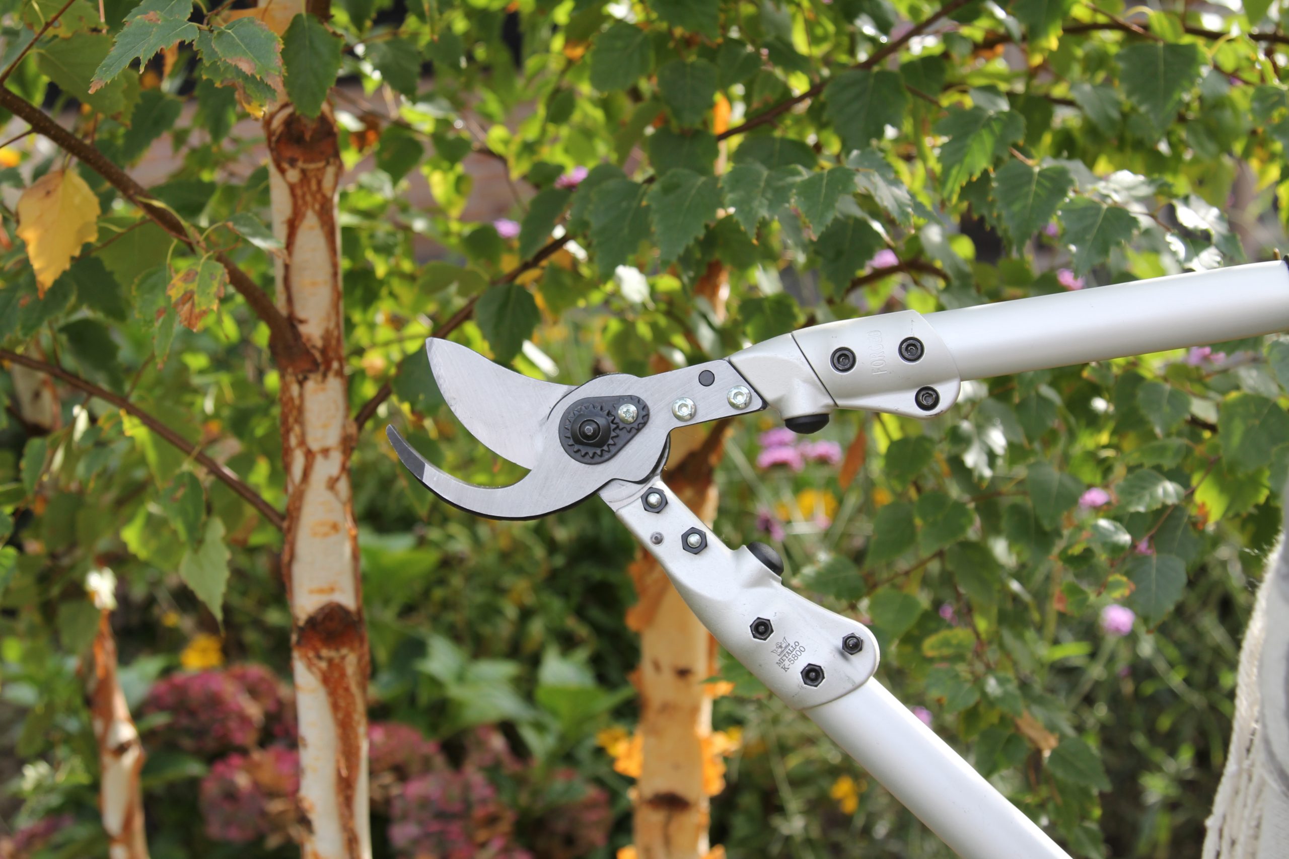 Lightweight discount garden loppers