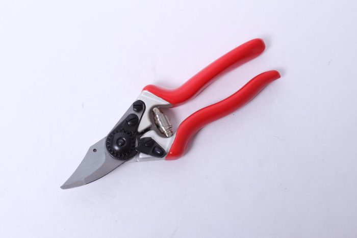 short anvil pruner