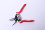 short anvil pruner