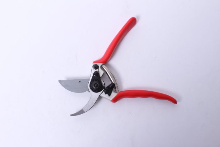 traditional anvil pruner