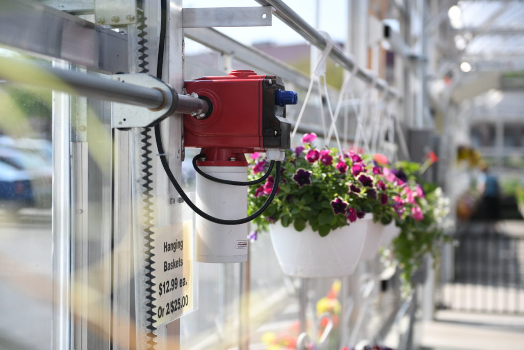 flower greenhouse using low voltage motors to roll up the sidewalls for natural ventilation