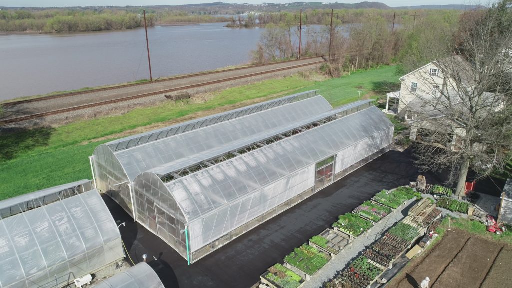Greenhouses with Roof Vent