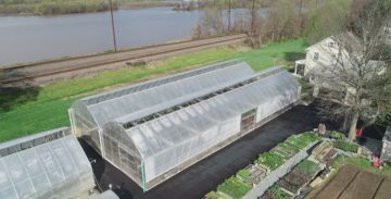 Greenhouses with Roof Vent